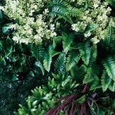 フェイクグリーン 壁掛け 造花 グリーンウォール BROWN 100 HA 幅100x高さ100cm 壁面緑化 屋外 対応 人工観葉植物 アーティフィシャルグリーン グリーンパネル 連結 3枚並べ おしゃれ リアル 屋外用 店舗 オフィス カフェ 壁面装飾