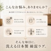 夏ラグ アイボリー 国産 日本製 洗える 綿混 130×190cm 190×190cm 190×240cm 防ダニ 抗菌 防臭 床暖房 ホットカーペット対応