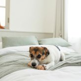 DADWAYPET ダッドウェイペット FAD ファッド レザーボーン 犬用おもちゃ M