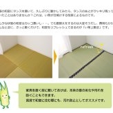 夏ラグ 夏用カーペット い草 上敷き い草上敷 はっ水 カーペット 無地 『撥水 湖水』 江戸間4.5畳(約261×261cm）