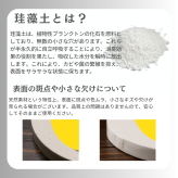 阪神タイガース ドイツ製メタルタンブラー&珪藻土コースター2枚組セット 印刷付き木箱入り