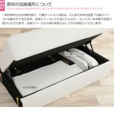 ソファ 座椅子 収納付き2人掛け 2人掛け コンパクト 2人用 収納 ポケットコイル ファブリック ー 体にフィット Riely おしゃれ ミッドセンチュリー 西海岸