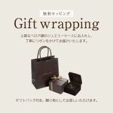 金属アレルギー対応 馬蹄ネックレス レディース  SV925 シルバー925 18K・プラチナ（ロジウム）コーティング イタリア製チェーン  誕生日・記念日ギフト 　クリスマスギフト・クリスマスプレゼント【クリスマスラッピング無料】【即日配送】