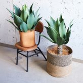 観葉植物 造花 アガベ アテナータ BROWN 全高約70cm 卓上・小型 フェイクグリーン 本物そっくり おしゃれ インテリア 人工観葉植物 アーティフィシャルグリーン オフィス 店舗 ホテル 開店祝い 室内 ミニ 多肉植物 フェイク