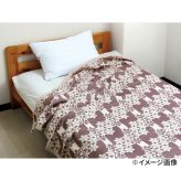 和ガーゼ 泉州産 やわらか重ね織り 4重ガーゼ毛布 ギフトセット 2枚入 寝具 日本製 綿100％ 毛布 ガーゼ【北海道・沖縄県・離島 配送不可】