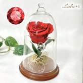 【天然ダイヤモンドの輝き】プリザーブドフラワー バラ 薔薇 ガラスドーム 2色 赤 青 ダイヤモンドローズ 花 ギフト プロポーズ 結婚式 記念日 誕生日 プレゼント 女性 妻 彼女 美女と野獣 サムシングブルー アモローサ 還暦祝い 退職祝い お祝い インテリア オブジェ Lulu＊s ルルズ