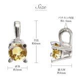 シトリン ブルートパーズ ネックレスプラチナ ネックレス 11月誕生石 一粒 PT950 プラチナ950 白金 チェーン 長さ選べる 40cm 45cm 50cm ギフトラッピング可能 シンプル 華奢 上品 Rapture 彼女 妻 女性 レディース 誕生日 プレゼント ハロウィン 【品番：CG-RSP-29051PT-11】