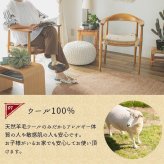 ラグ カーペット マット 玄関 玄関マット おしゃれ 40x60cm シンプルギャッベマット HOT対応 アヤカ 北欧 モダン シンプル デザイン かわいい かっこいい ギャッベ インド製 ホット 床暖 OK 送料無料 手織り 肌触り