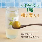 夏ギフト ハニップC うめとりんご 200g×15本 梅の実入りドリンク