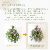 【Drying Bouquet/Swag】生花を中心に一部ドライフラワー（アートフラワー）を使用したスワッグです。少しずつドライフラワーに変化していく様子をお楽しみください。花束のスタイルでお届けさせていただきます。新築のお祝いや開店のお祝い等にも。 送料無料 