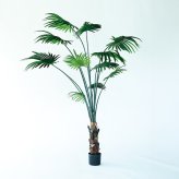 観葉植物 造花 シュロチク BROWN 全高約180cm 大型 フェイクグリーン 高級 本物そっくり リアル おしゃれ 和風 和モダン インテリア 人工観葉植物 アーティフィシャルグリーン オフィス 店舗 ホテル 旅館 開店祝い 室内 リビング 玄関 風水 棕櫚竹