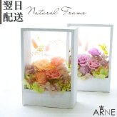 プリザーブドフラワーアレンジメント 【Natural Frame】　 窓枠のようなフレームのプリザーブドフラワーです。やさしい色の組み合わせで自然の中にある色彩の美しさを楽しんで頂けます。プリザーブドフラワー 誕生日 花 プレゼント お祝い グリーン 和 ギフト メッセージ 送料無料  プレゼント おしゃれ リビング インテリア 枯れない花 土日発送 母の日 敬老の日 お中元 お歳暮