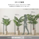 お手入れ簡単 フェイクグリーン フィカス・リラータ Sサイズ(120cm) 新築祝い 開店祝い