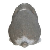 置物 うさぎ ホーランドロップイヤー 白グレー 幅22.2cm woobia ウービア リアル かわいい おしゃれ 玄関 インテリア オブジェ ガーデン ロップイヤー たれ耳 動物 アニマル 癒し 棚 北欧 プレゼント ギフト 卯年 うさぎ好き
