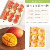 【蝶結び】-果翠(KASUI)- フルーツギフトカード 旬のフルーツ詰め合わせ カタログギフト 選べるギフト 贈答 贈り物 出産祝い 結婚祝い 内祝い 御祝い お祝い お礼 引き出物 熨斗対応 
