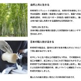 RIVERET リヴェレット ロッキングベセル ペア (ロックグラス セット ご結婚祝い 結婚記念日 退職祝い ギフト 引き出物 引出物 新築祝い 内祝い 誕生日 プレゼント 還暦祝い 古希 喜寿 敬老の日 香典返し お歳暮 御歳暮 お年賀 御年賀 クリスマス ウィスキー ブランデー ビール 好き）タベリエ TABELIER