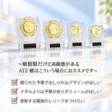 表彰楯 ＡＴＺ４４７７【A・B・C・D】４サイズあり【文字彫刻無料】クリア樹脂製 表彰楯 表彰 盾 メダル 優勝 表彰 記念品 景品 大会 運動会 トロフィー ゴルフ ゴルフコンペ 野球 サッカー フットサル 水泳 バレーボール テニス バスケ 名入れ可能 表彰状