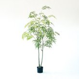 観葉植物 造花 マホニア コンフューサ BROWN 全高約180cm 大型 フェイクグリーン 高級 本物そっくり リアル おしゃれ 和風 和モダン インテリア 人工観葉植物 アーティフィシャルグリーン オフィス 店舗 ホテル 旅館 開店祝い 室内 リビング 玄関 庭木 細葉ヒイラギナンテン