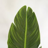 観葉植物 造花 ストレリチア BROWN 全高約126cm 大型 フェイクグリーン 本物そっくり おしゃれ インテリア 人工観葉植物 アーティフィシャルグリーン オフィス 店舗 ホテル 開店祝い 室内 極楽鳥花 オーガスタ フェイク