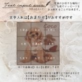 写真入りハンカチ 名入れ無料 オーダーメイド オリジナル 名入れグッズ うちの子グッズ 出産祝い お誕生日 内祝い ノベルティ プチギフト プレゼント 七五三 父の日 母の日 敬老の日 ホワイトデー クリスマス 行事 孫 ペット 卒園 卒業 卒団 記念品 誕生日プレゼント 推し活