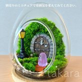 テラリウムキット 【ハロウィン】 コケテラリウム 贈り物 ガラスボウル コケインテリア ハロウィン ギフト 手作りキット 創作キット 苔インテリア 苔リウム コケリウム 作成キット お誕生日 おうち時間 敬老の日