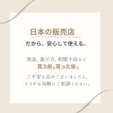 【ラッピング無料・熨斗対応】赤ちゃん おもちゃ ハイハイ ひよこ 4点セット 知育玩具 音楽 ライト 出産祝い ハーフバースデー 誕生日 ギフト