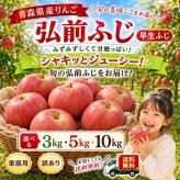 青森県産　りんご　弘前ふじ　早生ふじ　訳あり　選べる5kg　送料無料！　大きさ普通バラ詰め / クール便