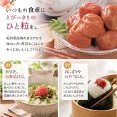 梅干し 紀州南高梅 つぶれ梅 3.4kg 850g×4パック 塩分約3% 減塩 しそ漬け 和歌山県産 赤しそ 紫蘇漬け 大粒 訳あり 紀州 超特大容量 まとめ買い 果肉たっぷり ギフト