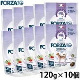 フォルツァ10 FORZA10 ドッグフード スペシャルケア アダルトミニ ヘルシースキン 120g×10個