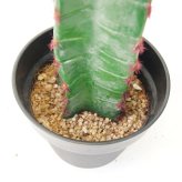 観葉植物 造花 柱サボテン BROWN 全高約141cm 大型 フェイクグリーン 本物そっくり おしゃれ インテリア 人工観葉植物 アーティフィシャルグリーン オフィス 店舗 ホテル 開店祝い 室内 サボテン カクタス フェイク