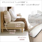 ソファ 座椅子 ファブリックロー 1P ファブリック ロー 天然木 パイン材 フレーム 1人掛け シンプル cafe 北欧 脚付き クッション アームレス ゆったり 広々 くつろぎ 外せるクッション ロータイプ ナチュラル 肌触り 消臭 脱臭 防虫 抗菌