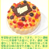 クリスマス生乳アイスケーキ【4～7号】 ［クリスマスケーキ クリスマスデコレーション クリスマスフルーツケーキ］