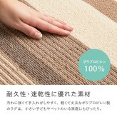 ラグ カーペット 洗える速乾タフト フィン 約185×185cm すぐ乾く 洗える 日本製 速乾 軽量 モダン おしゃれ 抗菌 防臭 国産 絨毯 じゅうたん タフト織 新生活