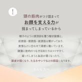 美顔器 EMS&RF リフトブラシボーテ EMS RF 頭皮ケア フェイスケア 全身ケア 防水 お風呂 バスタイム 赤色LED 光美容 顔 頭 デコルテ 二の腕 足 美容家電 女性 母 妻 誕生日 母の日 プレゼント 美容好き 実用的 ギフト