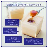高級プリン専門店の10月期間限定！プレーン3個・かぼちゃ3個 計6個入【20.000円以上お買い上げで送料無料】