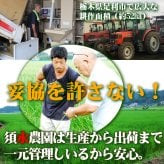 新米 ミルキークイーン お米 米 10kg 送料無料 無洗米 玄米 特別栽培 減農薬 化学肥料最小限 栃木産 2026年産 令和8年産 こめ コメ 産直 限定品 おとりよせ 取寄せ ギフト プレゼント 贈答用 ミルキークィーン 10キロ ご飯 ライス ランキング あす楽 送料込み お祝い 内祝