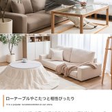 2.5人掛けローソファ 幅166cm×奥行71cm×高さ59cm(座面高:19cm) シンプル ポリエステル ウレタンフォーム Sバネ 組立品 自然と体を預けてリラックスした時間を過ごせます 小さなお子様やペットのいるご家庭にも です アイボリー 新生活