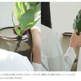 パゴダ ガラスベース ビッグ