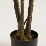 観葉植物 造花 オリーブ BROWN 全高約180cm 大型 スリム フェイクグリーン 高級 本物そっくり リアル おしゃれ インテリア 人工観葉植物 アーティフィシャルグリーン オフィス 店舗 ホテル カフェ 開店祝い 室内 リビング 玄関 風水 庭木 オリーブの木