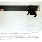 animacolle アニマコレ Catroad+  キャットステップ　ホワイト