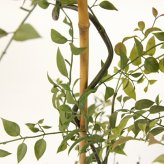観葉植物 造花 ライベリー BROWN 全高約105cm 中型 フェイクグリーン 本物そっくり おしゃれ インテリア 人工観葉植物 アーティフィシャルグリーン オフィス 店舗 ホテル 開店祝い 室内 インテリアグリーン 枝もの フェイク