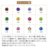 【送料無料】【名入れ無料】 メンズネックレス ステンレス 誕生月カラーキュービック しっぽ 猫 夜空 夜景 プレート サージカルステンレス316L アレルギーフリー ブランド おしゃれ アクセサリー ジュエリー white clover ホワイトクローバー 誕生日 記念日 プレゼント ギフト 刻印無料 即日発送