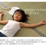 夏ラグ 夏用カーペット 純国産 い草 上敷き カーペット 糸引織 『湯沢』 六一間8畳(約370×370cm）