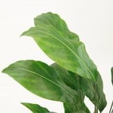観葉植物 造花 スパティフィラム BROWN 全高約120cm 大型 フェイクグリーン 本物そっくり おしゃれ インテリア 人工観葉植物 アーティフィシャルグリーン オフィス 店舗 ホテル 開店祝い 室内 スパティフィルム フェイク