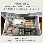 TAKEYA タケヤ FREEZE STOCK フリーズストック M 《2個セット》[保存容器 フードコンテナ 冷凍 クリア 透明 日本製 タケヤ フードストッカー オシャレ 保存 容器 中身が見える 小分け 冷凍容器 プラスチック ケース 薄型 浅型 食品保存]