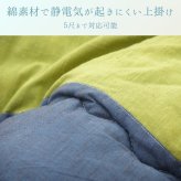 テーブル こたつ こたつ上掛 和つむぎ GN 210×210cm