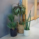 観葉植物 造花 チランジア ミックス BROWN 全高約81cm 中型 フェイクグリーン 本物そっくり おしゃれ インテリア 人工観葉植物 アーティフィシャルグリーン オフィス 店舗 ホテル 開店祝い 室内 エアプランツ フェイク