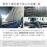ラグ カーペット グ 日本製 北欧 モダン おしゃれ 丸形 ジャスト【約180cmR】【薬2畳】丸型 円形 円型 防ダニ 抗菌 抗ウィルス 花粉対策 アレルゲン 消臭 国産 絨毯 じゅうたん タフト織 ベージュ グリーン