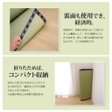 夏ラグ 夏用カーペット い草 上敷き い草上敷 はっ水 カーペット 無地 『撥水 湖水』 江戸間4.5畳(約261×261cm）