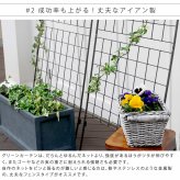 アイアンフェンス アイアン製グリーン グラフ 2枚組 フェンス アイアン グリーン ゴーヤ 薔薇 バラ 朝顔 庭 ベランダ ガーデニング 枠 柵 仕切り 目隠し 境目 アンティーク トレリス 園芸 ラティス 屋外 ガーデンフェンス 目隠しフェンス 庭用品 新生活